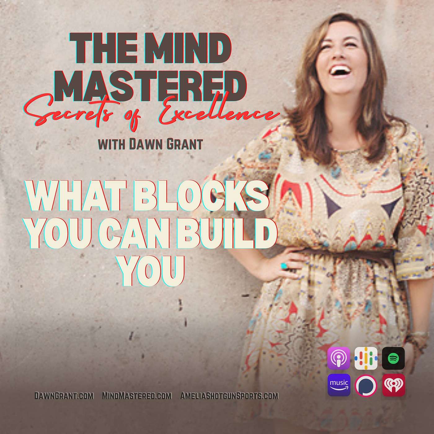 What Blocks You Can Build You episode artwork