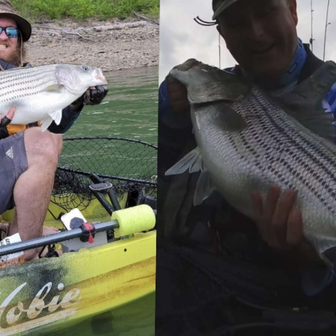 The Evolving Angler