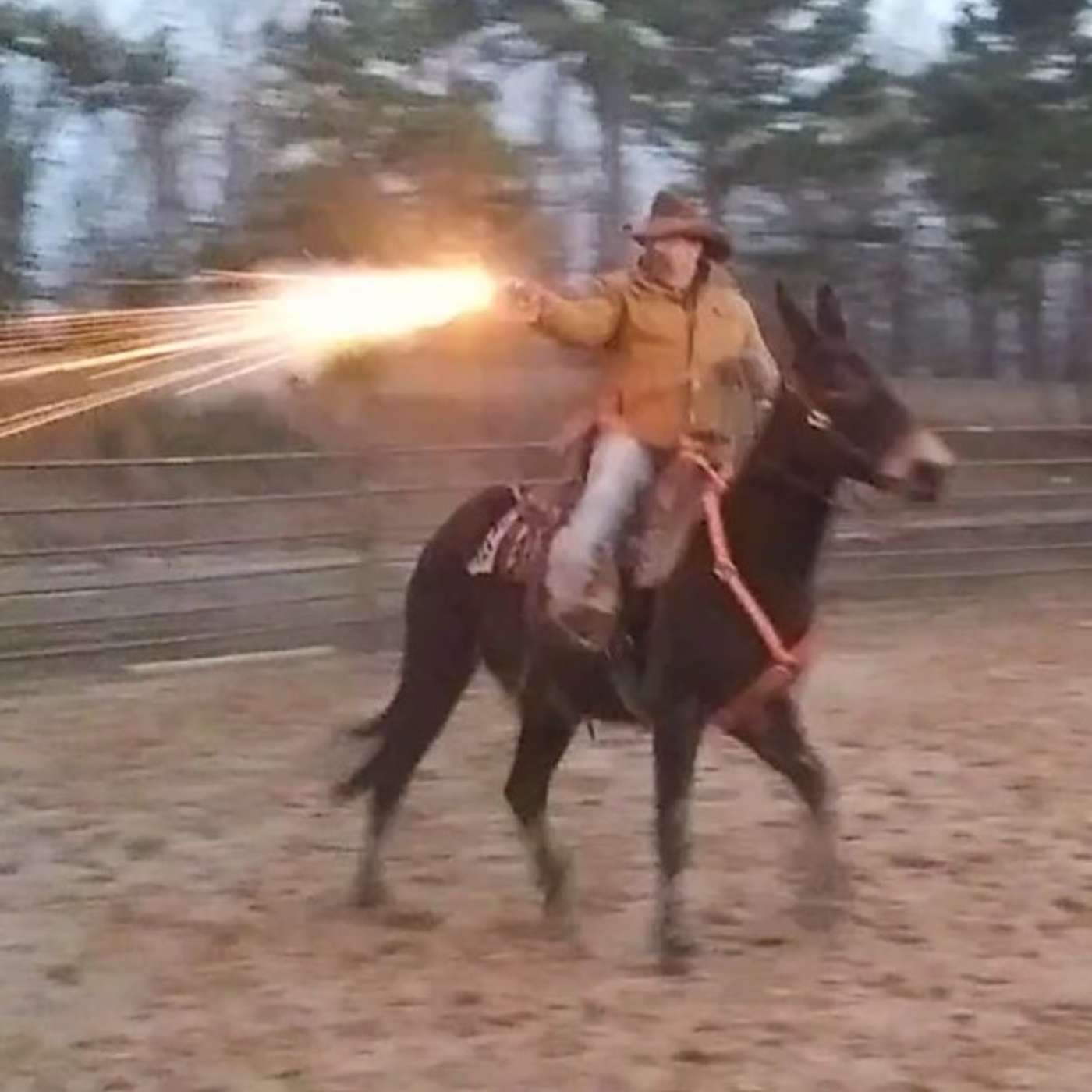 MAX BISHOP - MULE TRAINER FROM ARKANSAS