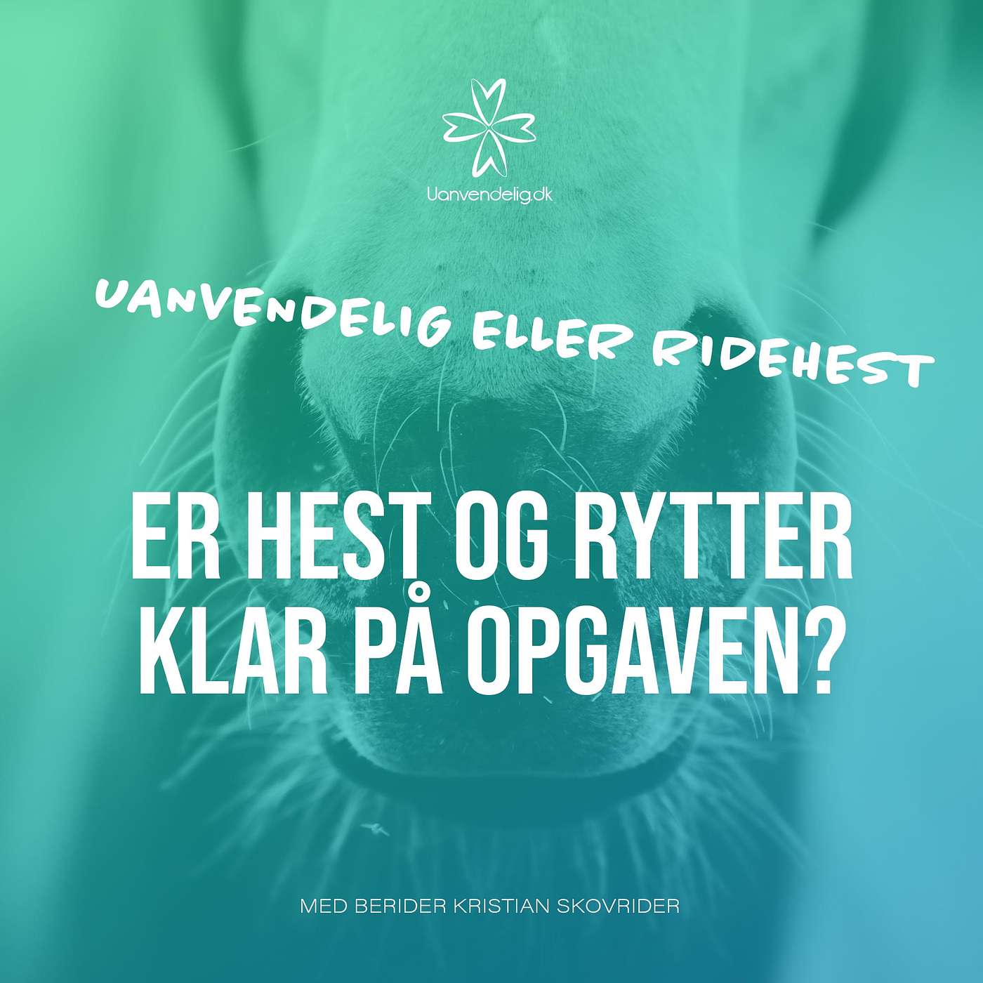 Hvornår er rytter og hest klar på opgaven? Med berider Kristian Skovrider Hvornår er rytter og hest klar på opgaven? Med berider Kristian Skovrider