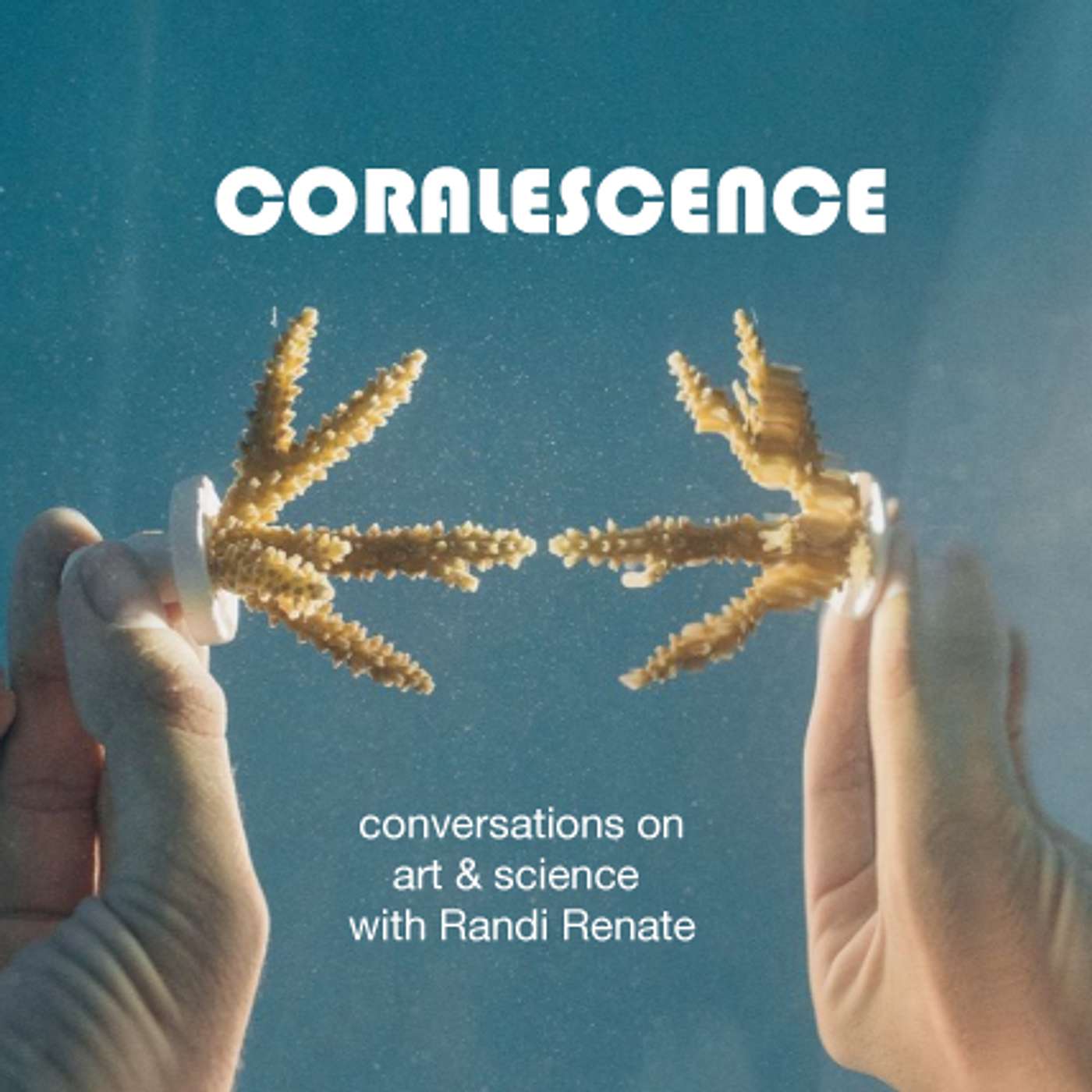 CORALESCENCE 