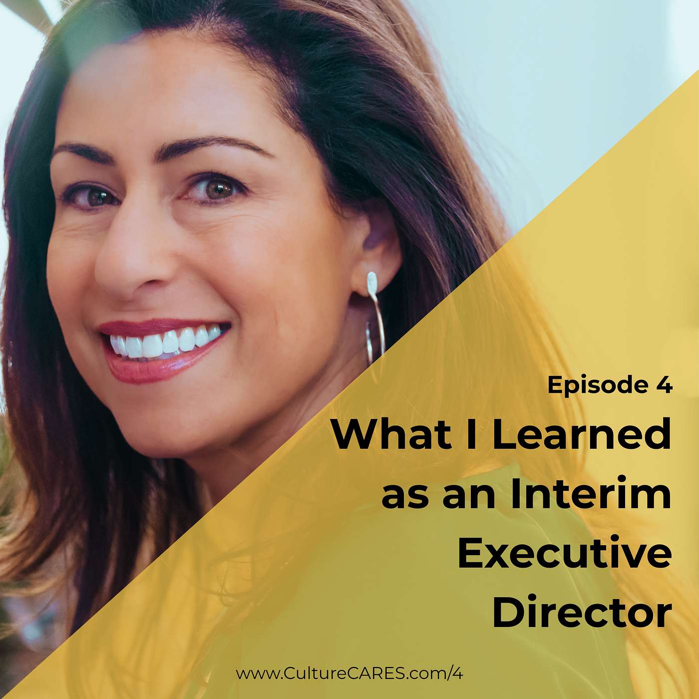 4: What I Learned as an Interim Executive Director