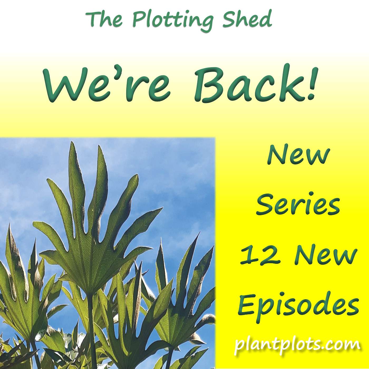 Hurrah, The Plotting Shed is Back - have you missed us? :)