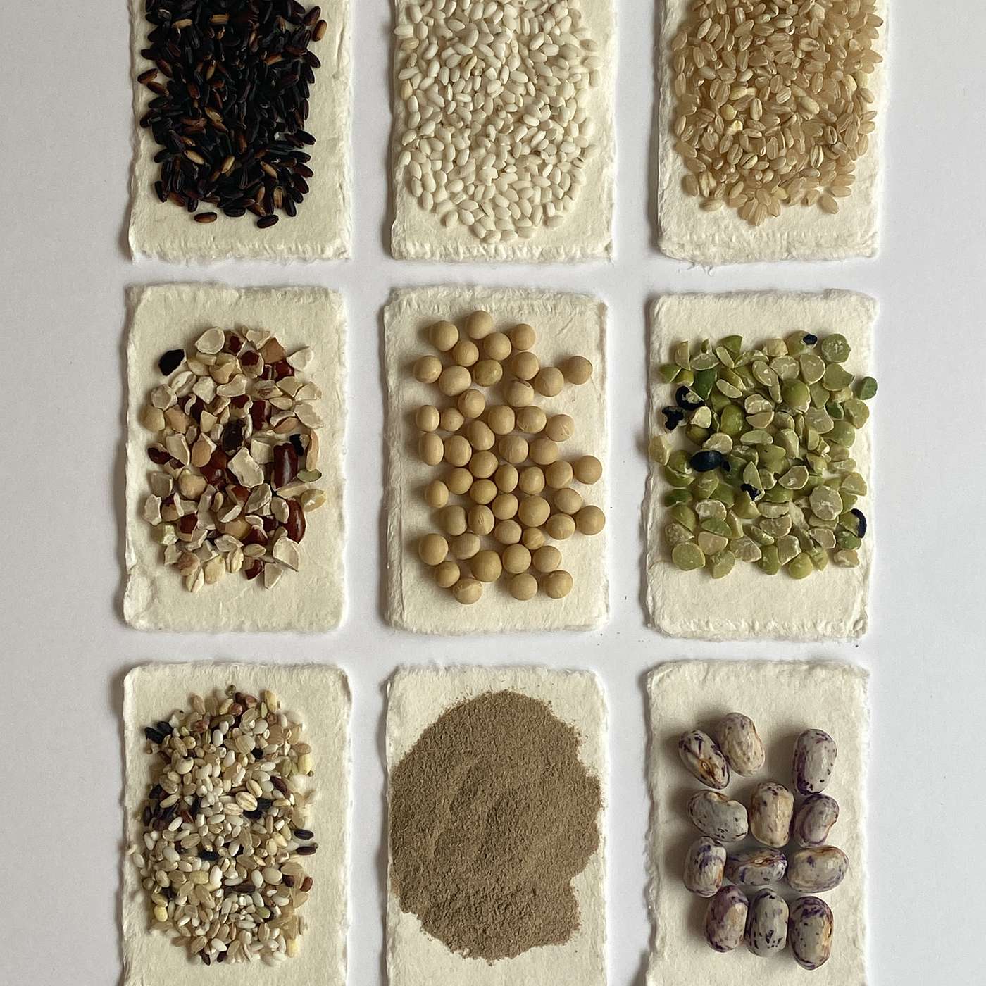 Aging with Nature 저속노화의 소재들 Aging with Nature 저속노화의 소재들