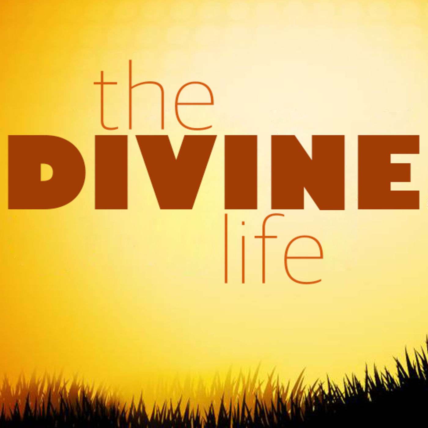 The Divine Life (part 1)