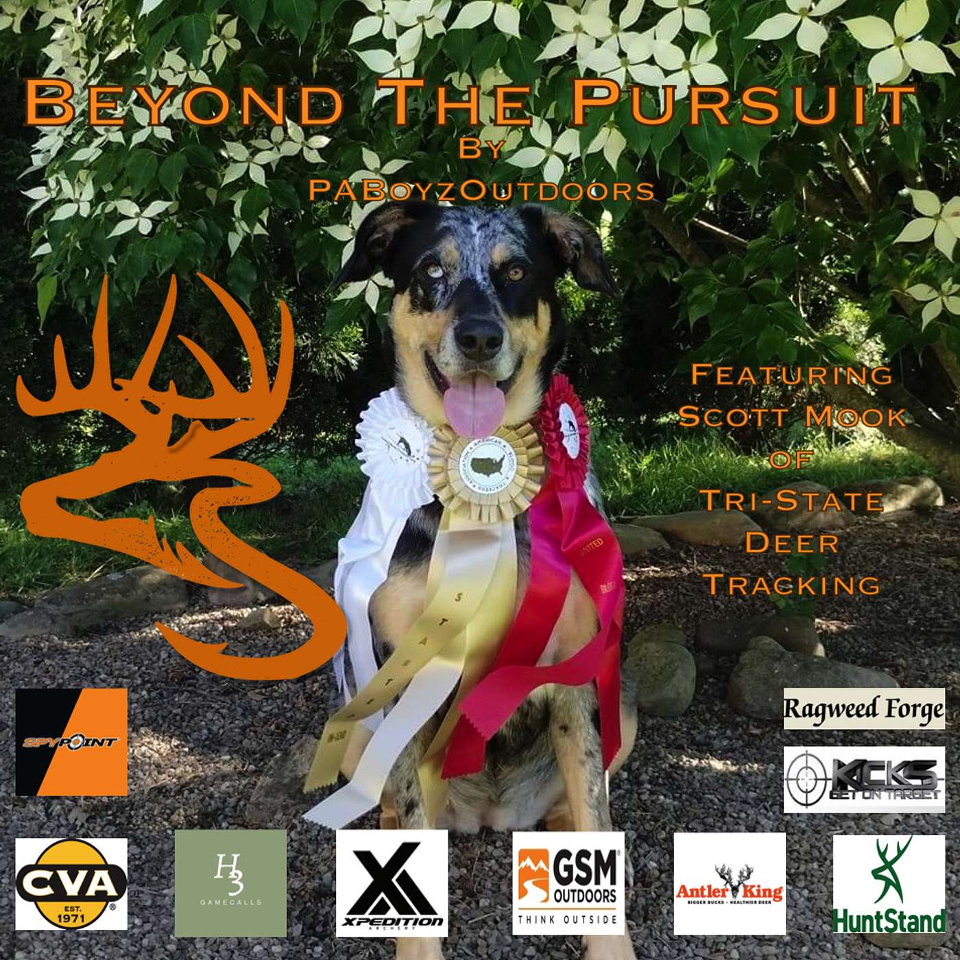 Beyond The Pursuit