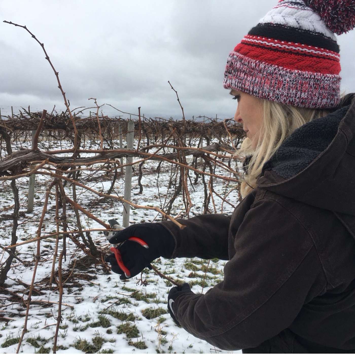 Between the Vines