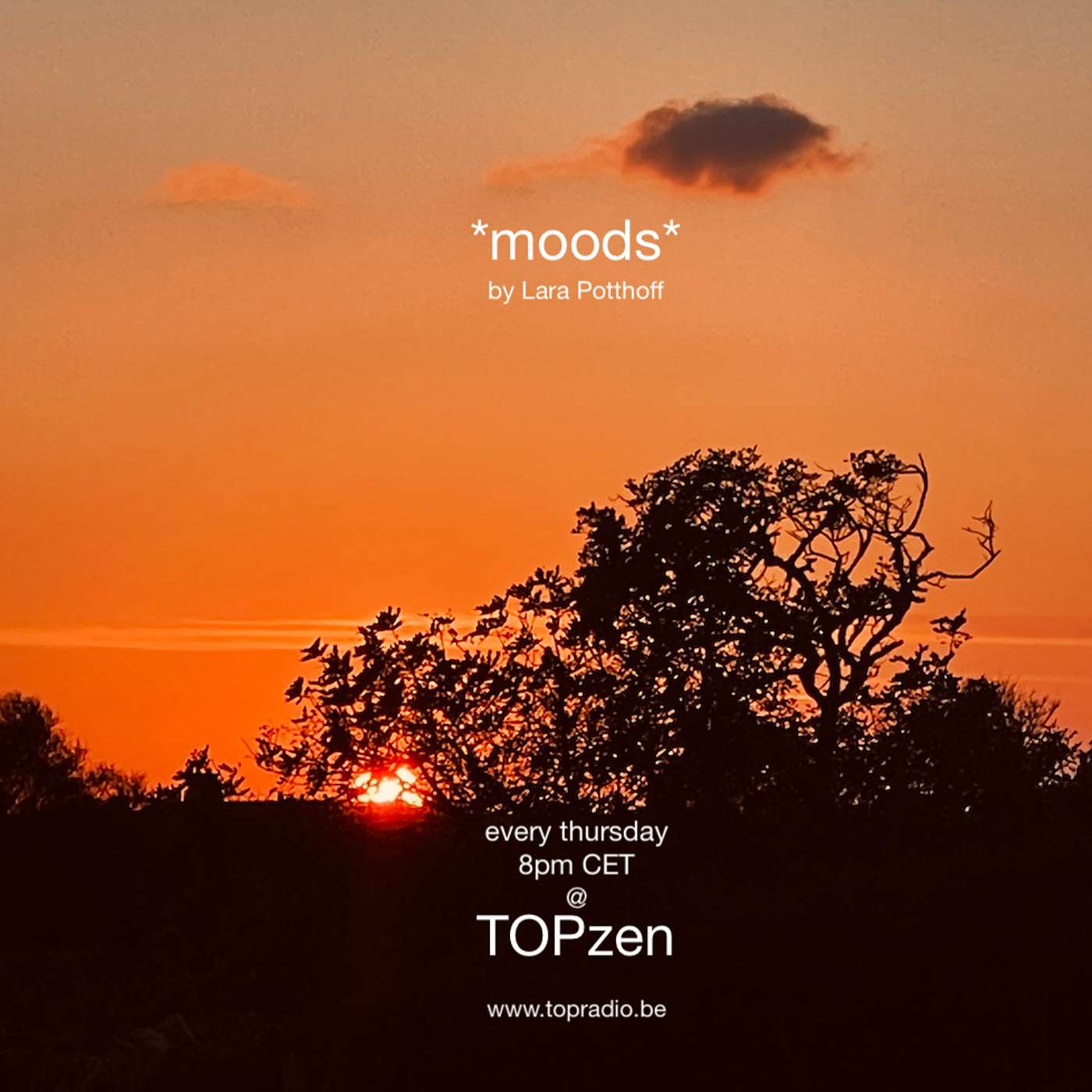 *moods* by Lara Potthoff @ TOPzen 16.03.2023