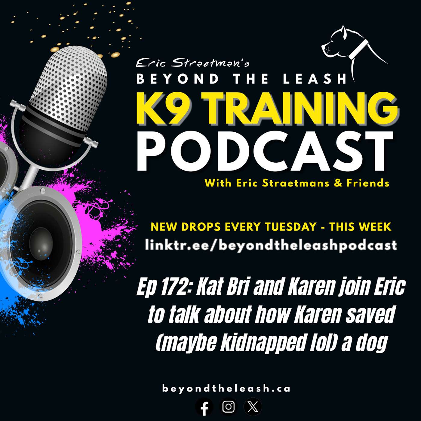 Ep 172: Kat Bri and Karen join Eric to talk about how Karen saved (maybe kidnapped lol) a dog