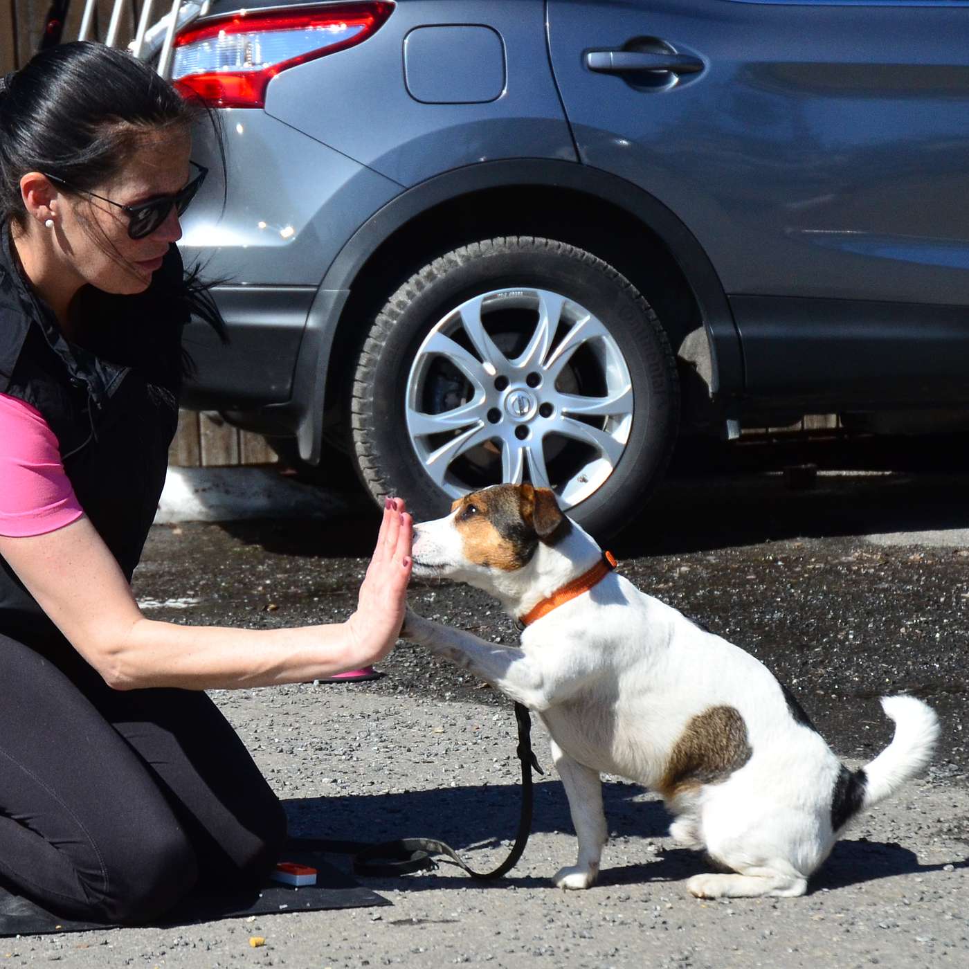 34 - Hvordan kan du styrke relasjonen til hunden din?