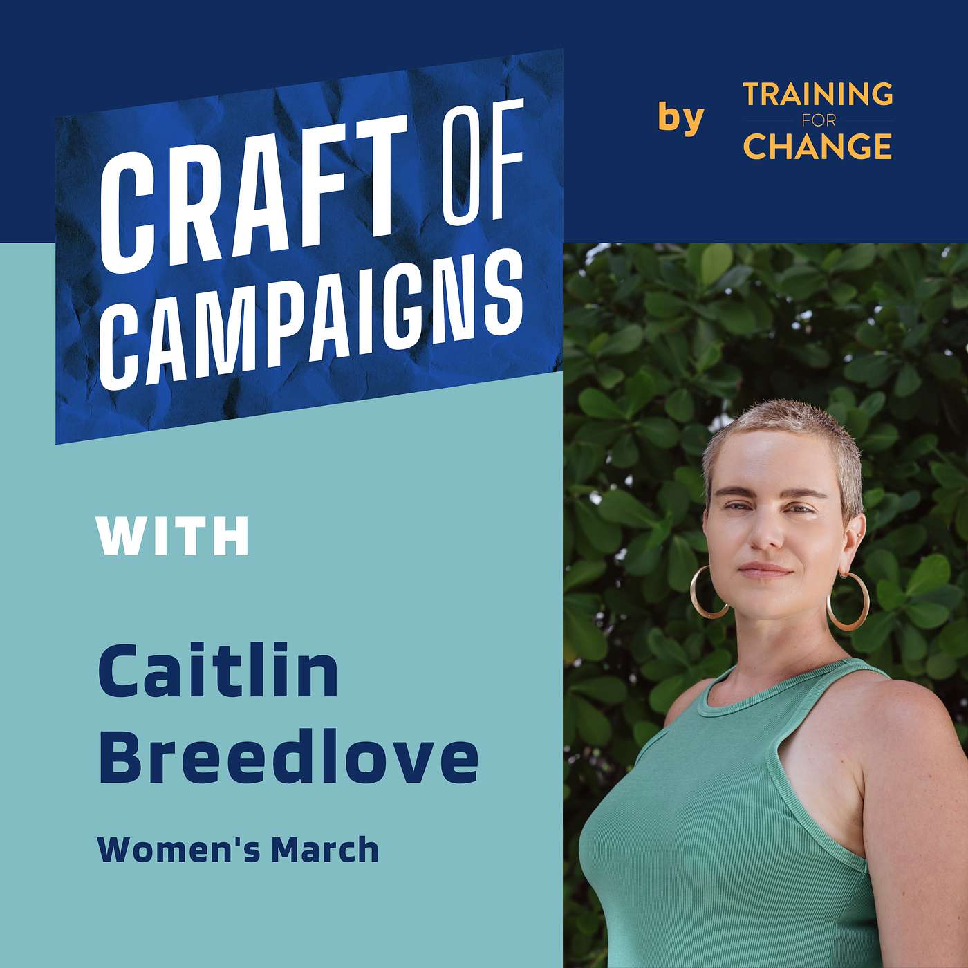 Craft of Campaigns