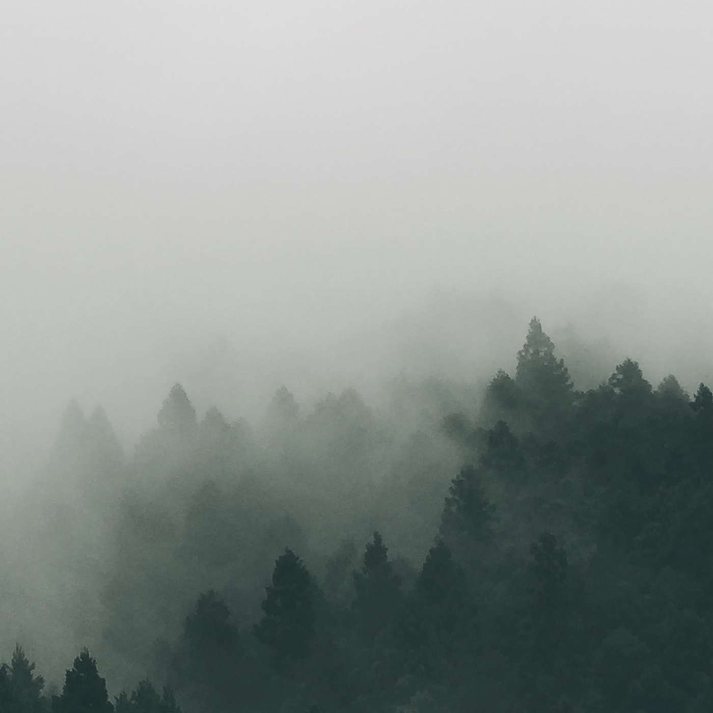 Level C S01E18 Schwarzwald