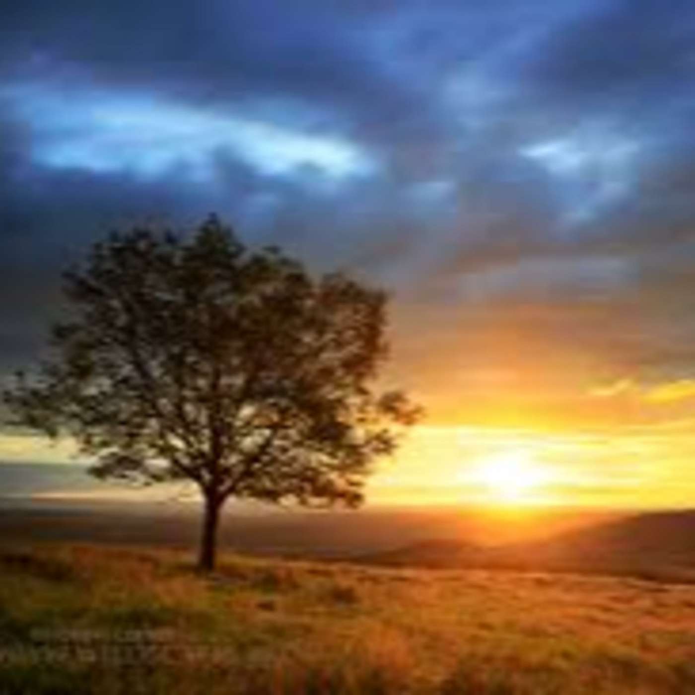 Morning by Morning Daily Prayer Journey with Tommy Hays of Messiah Ministries