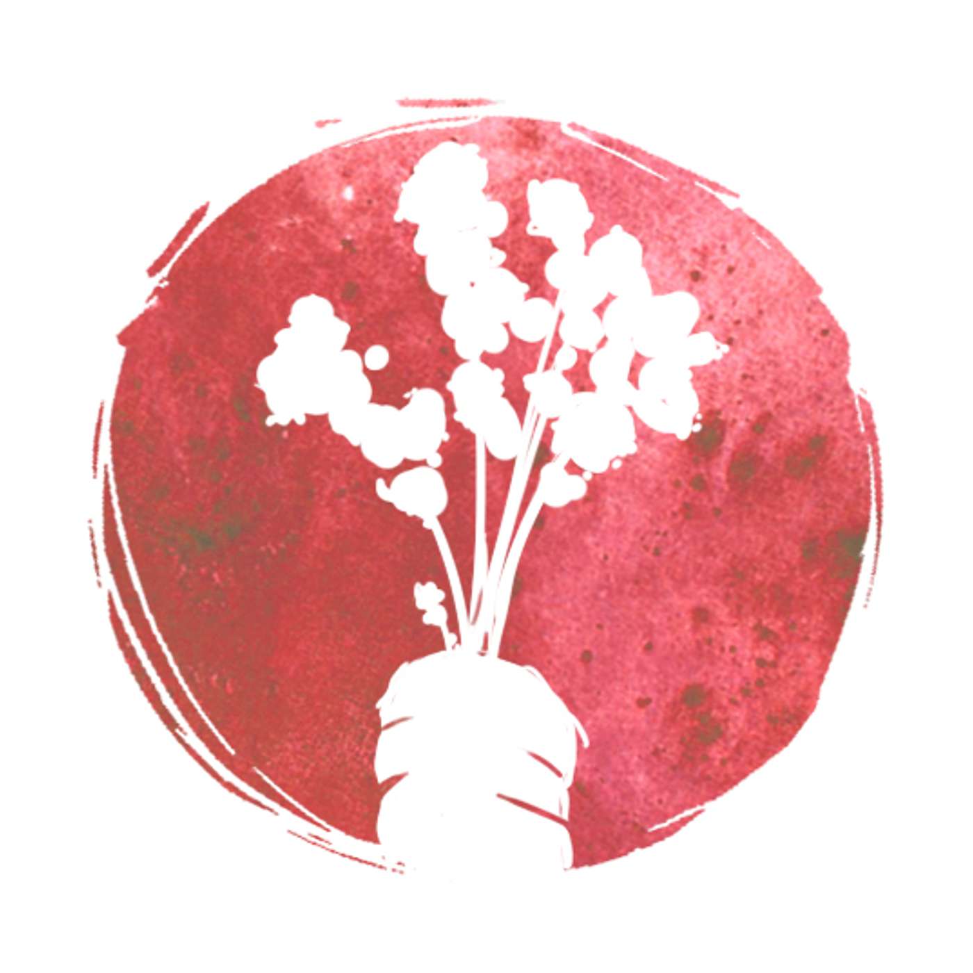 54 Degrees North - Podcast series about issues around Northwest BC