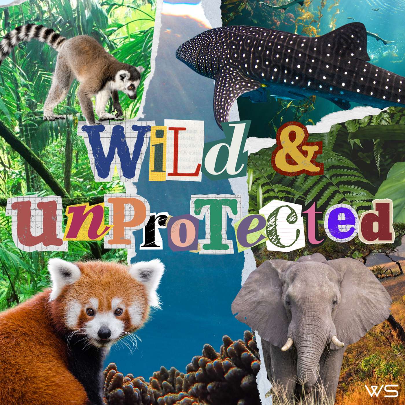 Wild & Unprotected: A Conservation Podcast