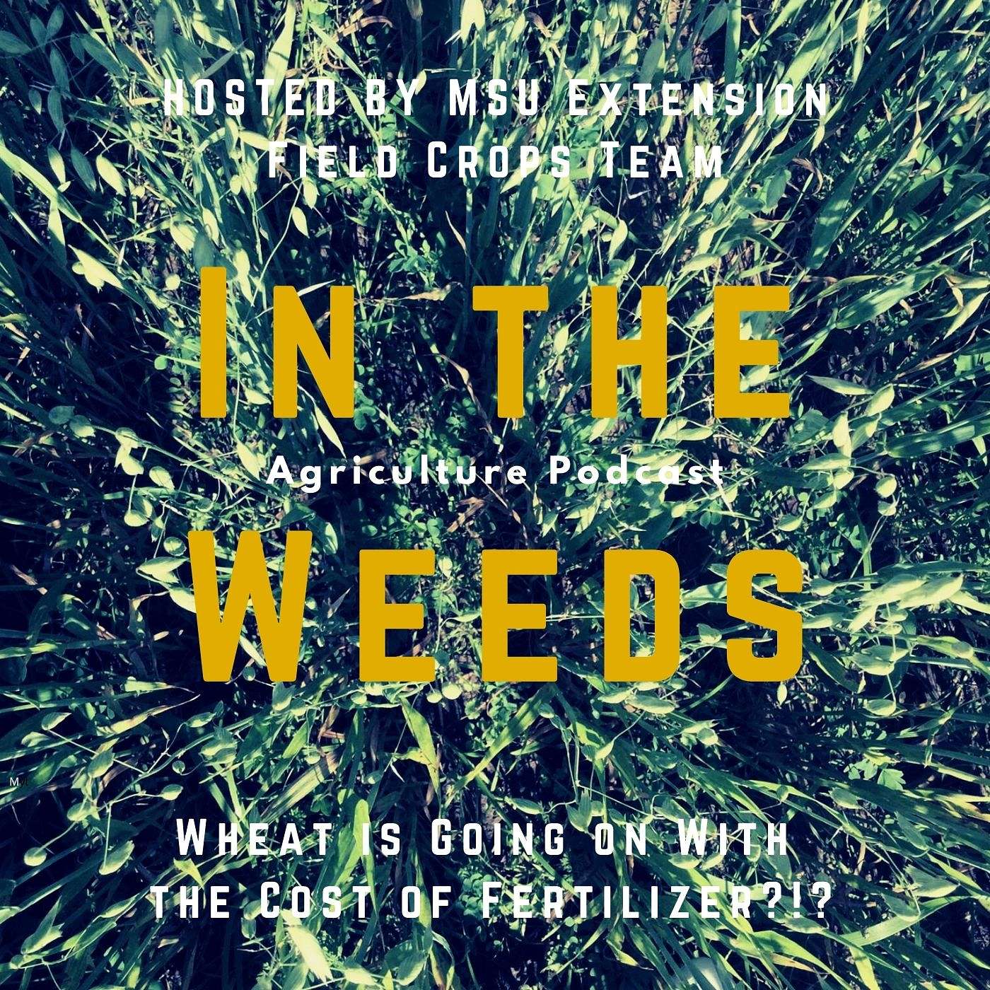 In the Weeds: Wheat is Going on With the Cost of Fertilizer?!? episode artwork