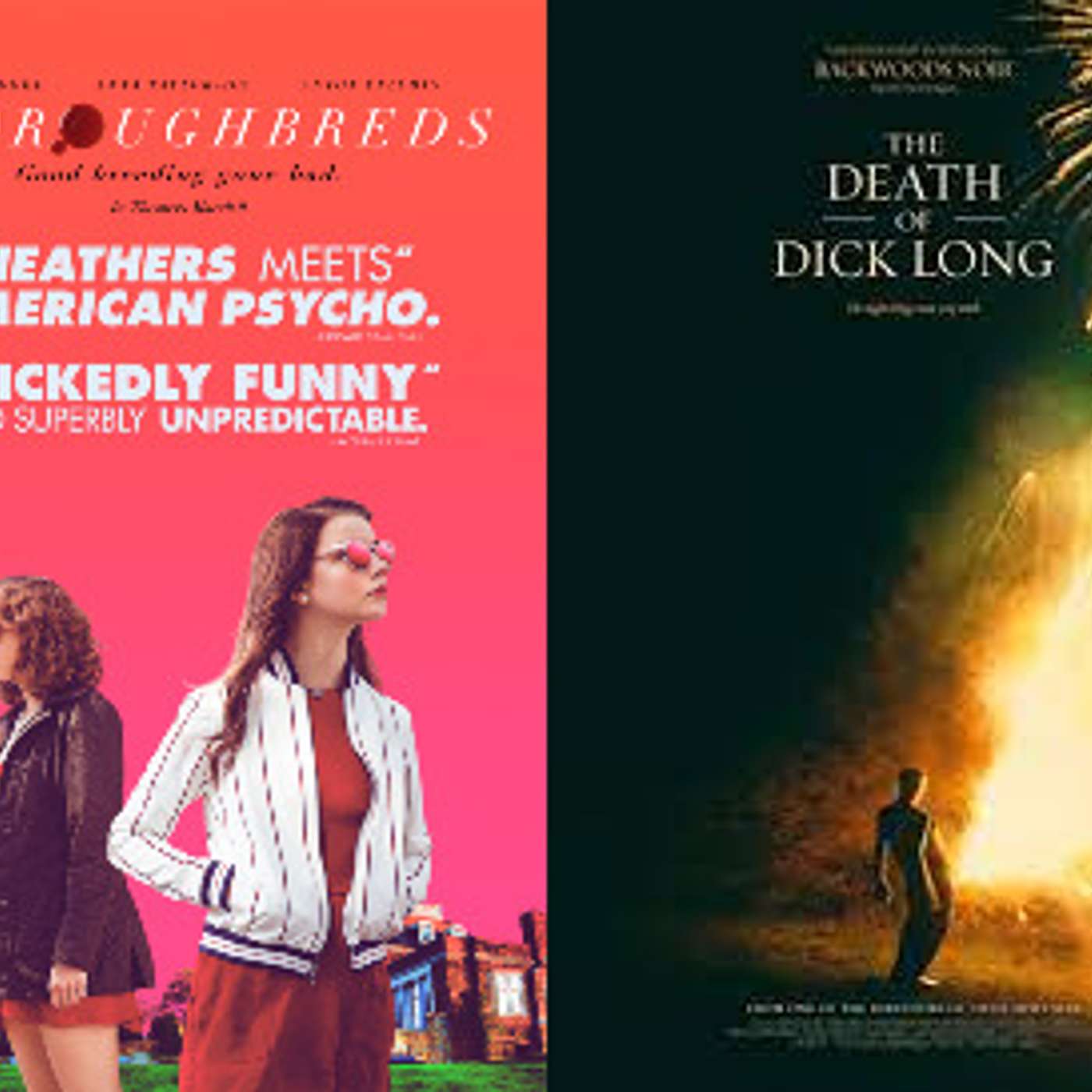 66: Thoroughbreds (2017) and The Death of Dick Long (2019)