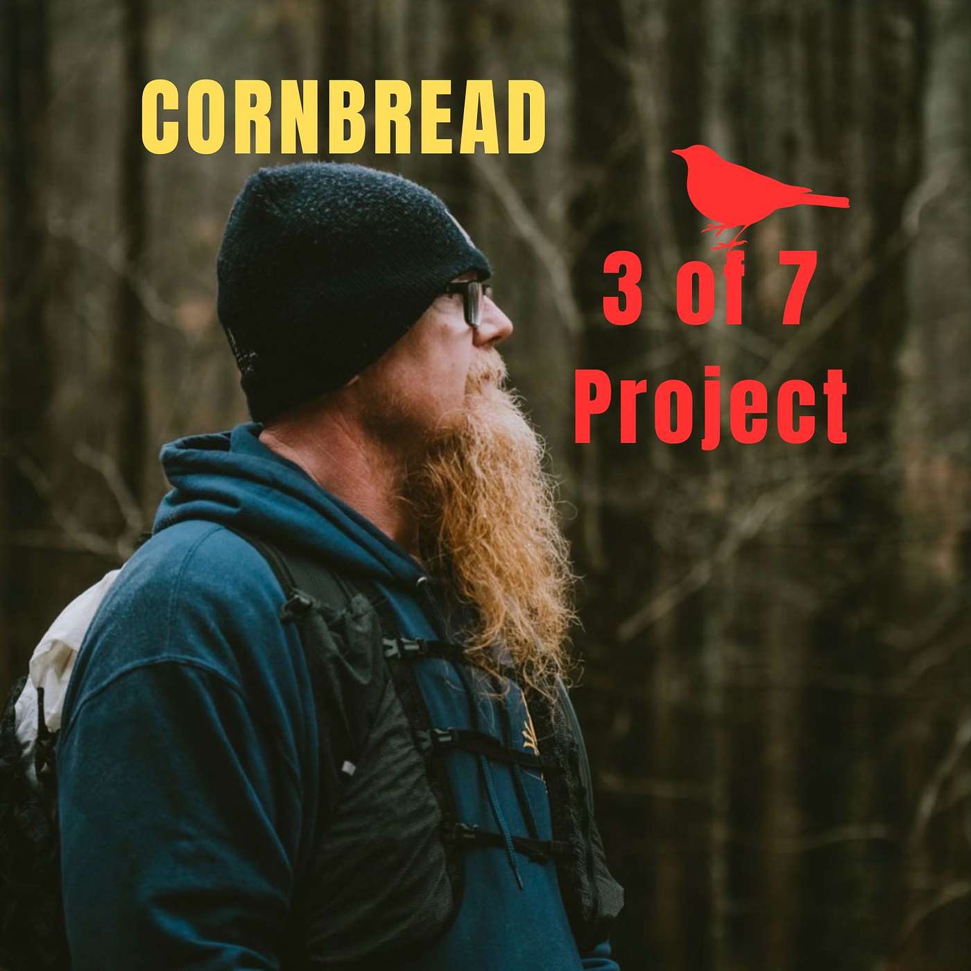 EP: 299 - Cornbread - 3 of 7 Project - Find your Conviction