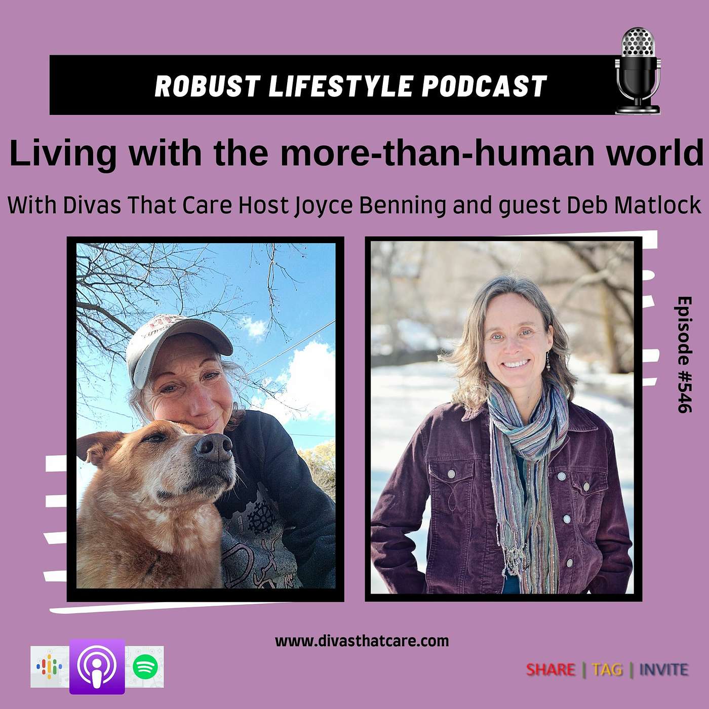 Living with the more-than-human world episode artwork
