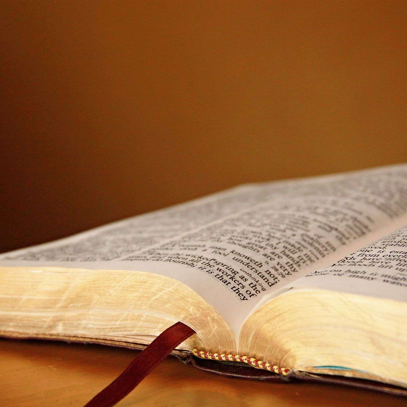 Daniel: Establishing a Prophetic Hermeneutic