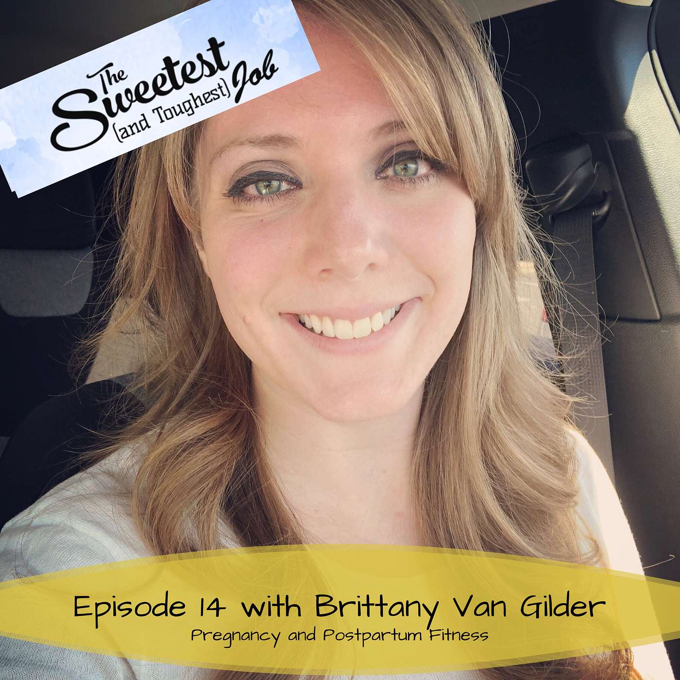 Pregnancy and Postpartum Fitness with Brittany Van Gilder