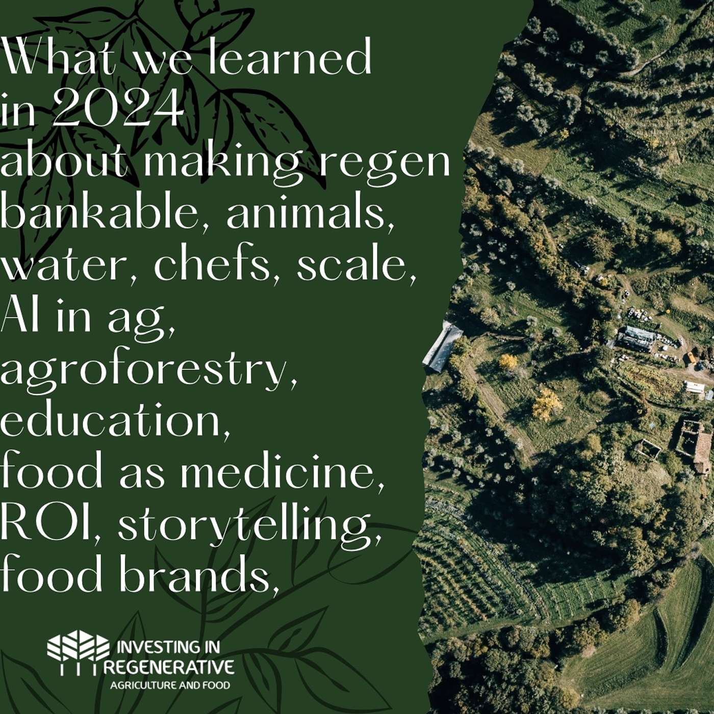 What 2025 taught us about making regen bankable, animals, water, chefs, scale, Al in ag, agroforestry, education, food as medicine, ROl, storytelling