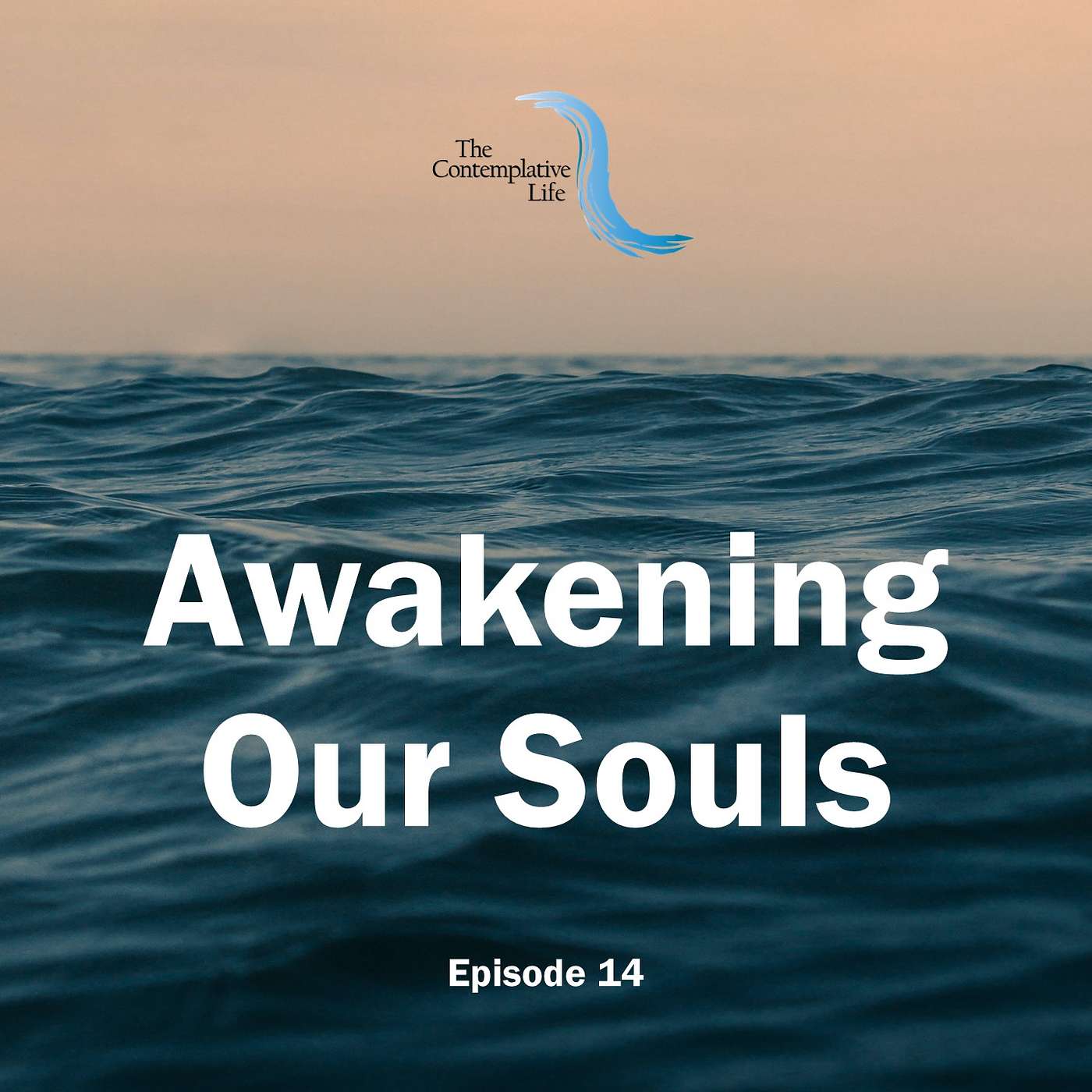 Ep 14 Awakening Our Souls through Spiritual Companionship