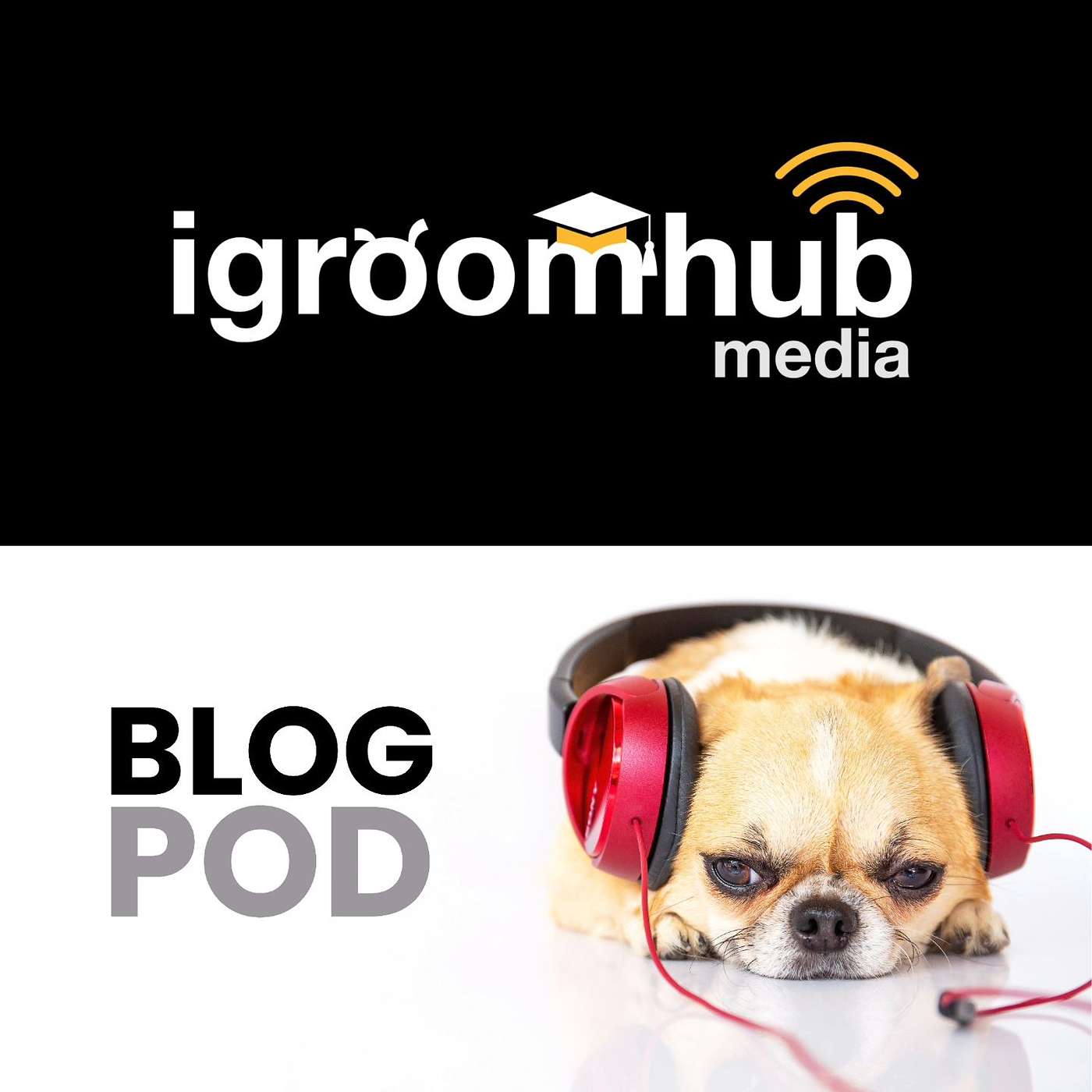 igroomhub Media Podcast