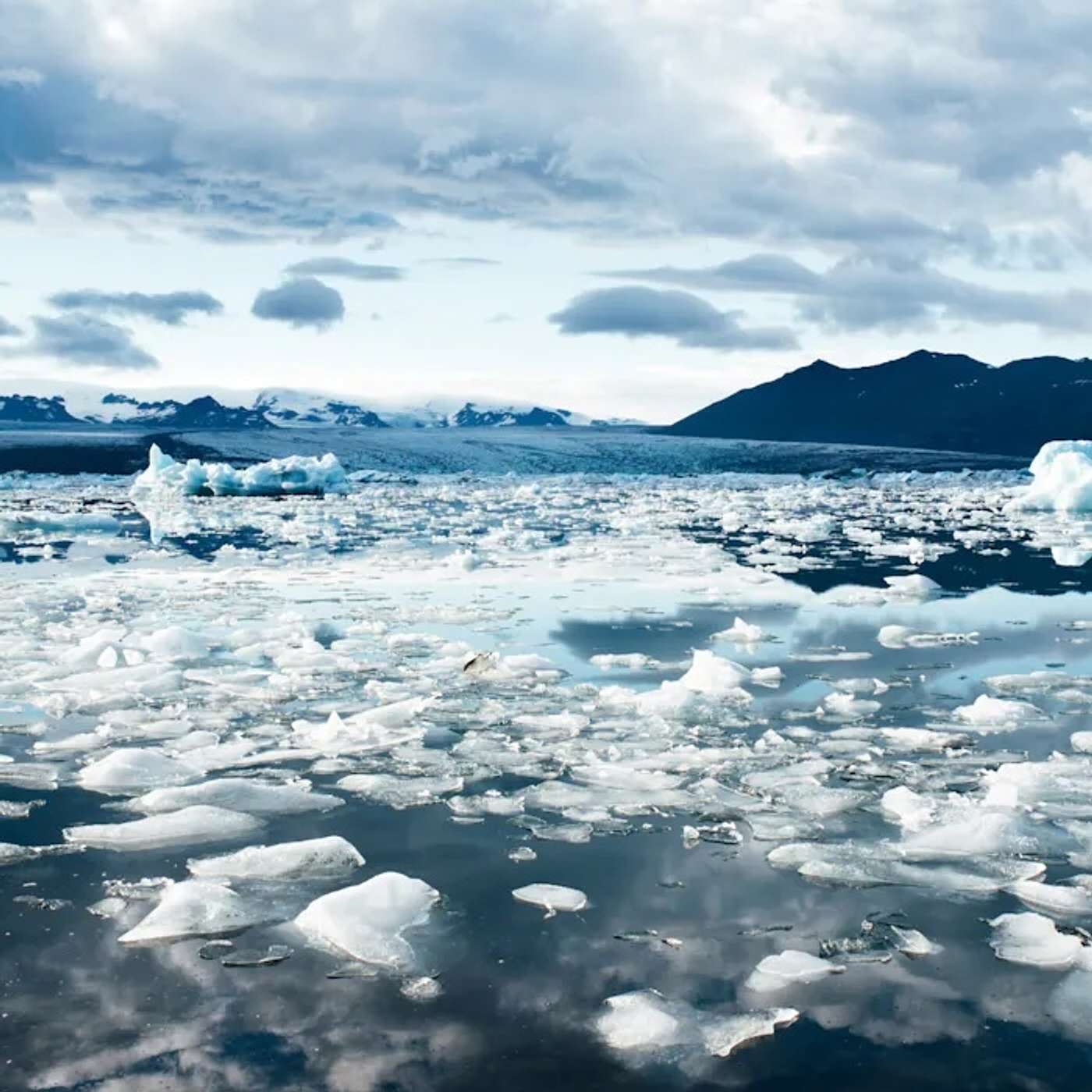 The Arctic Circle Podcast