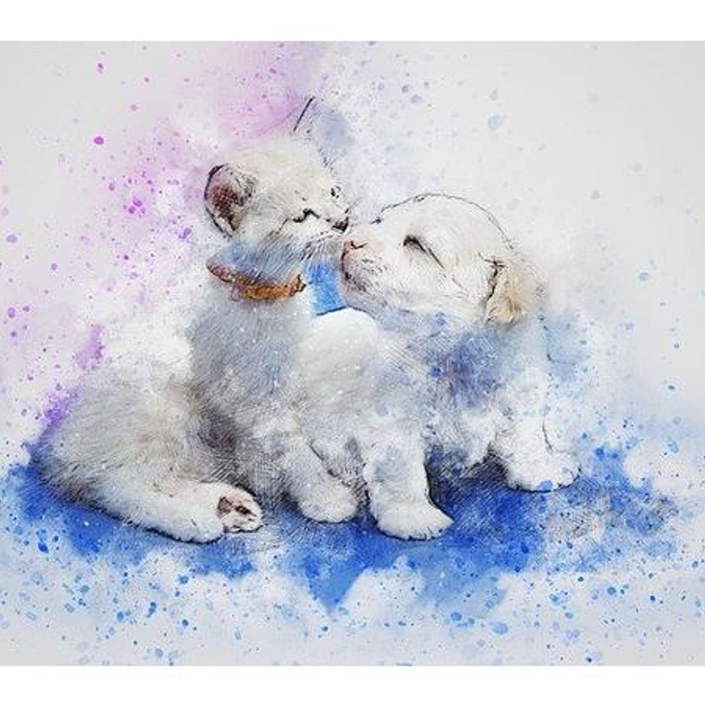 Dr. Jasek, DVM - How Much Testing Goes into Your Pets Meds episode artwork
