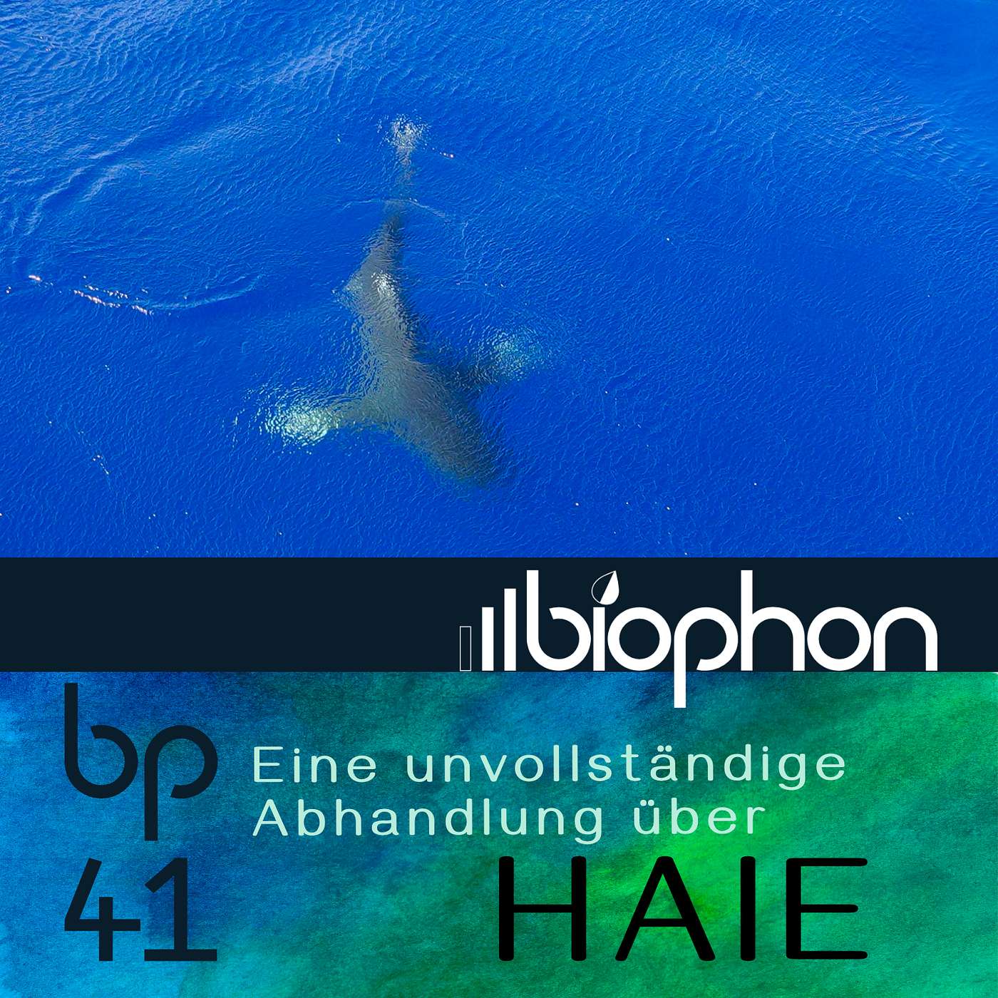 biophon - Geschichten aus Biowissenschaft und Forschung