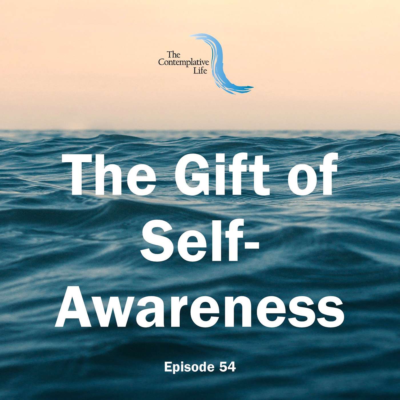 Ep 54 The Gift of Self-Awareness