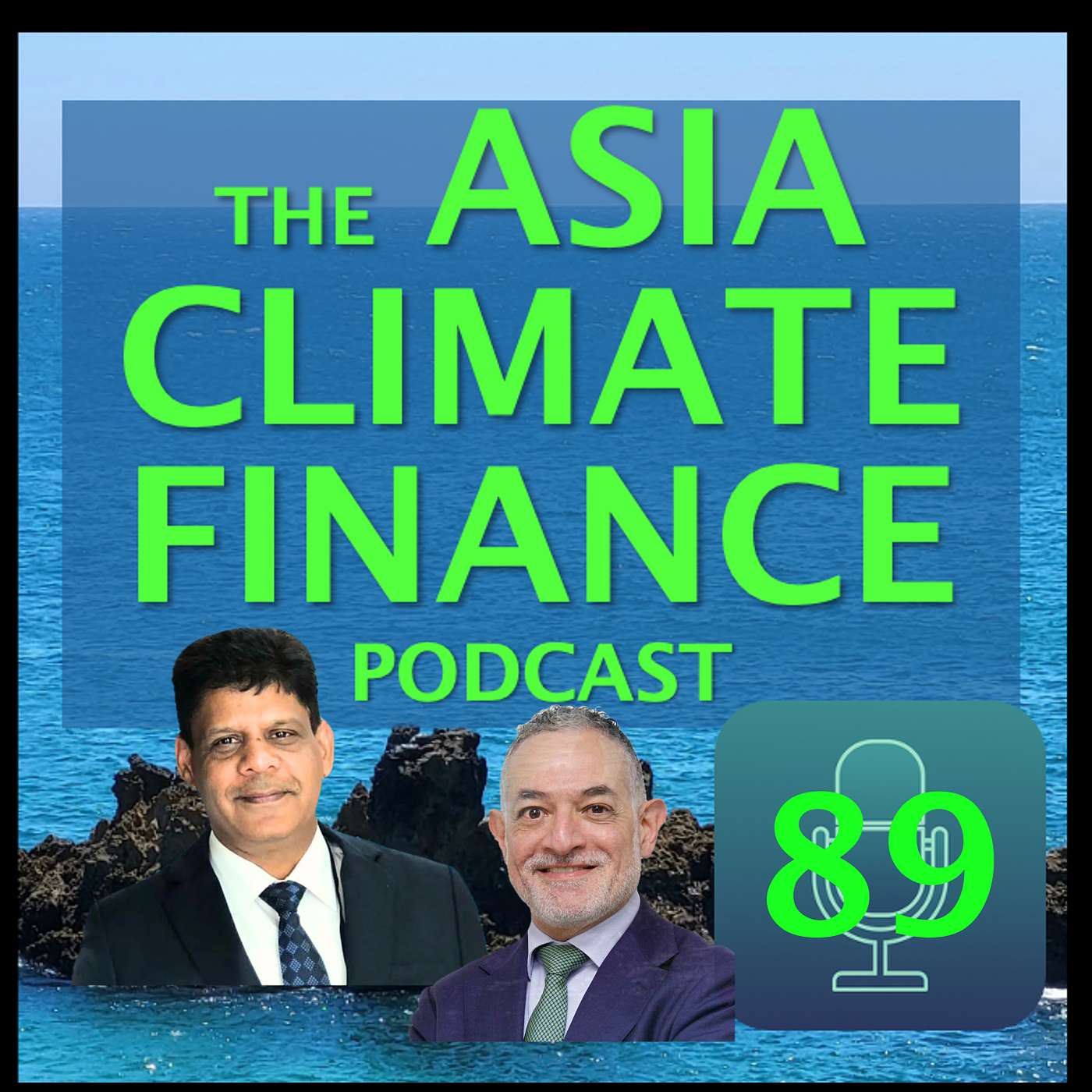 Ep89 India's Net Zero: Commercial Reality or Clever PR? with Arun Kumar, Asia Research and Engagement episode artwork