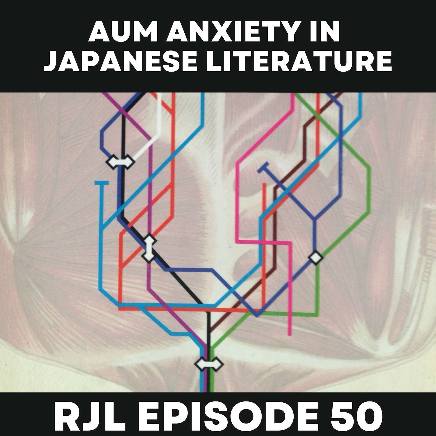 Aum Anxiety in Japanese Fiction episode artwork