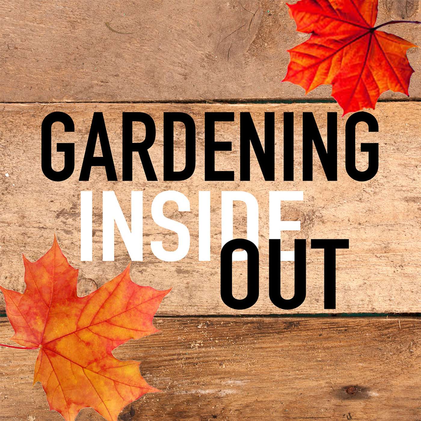 Ep. 126 | 2026 garden talk, What we do with fallen leaves | Dec 27 episode artwork