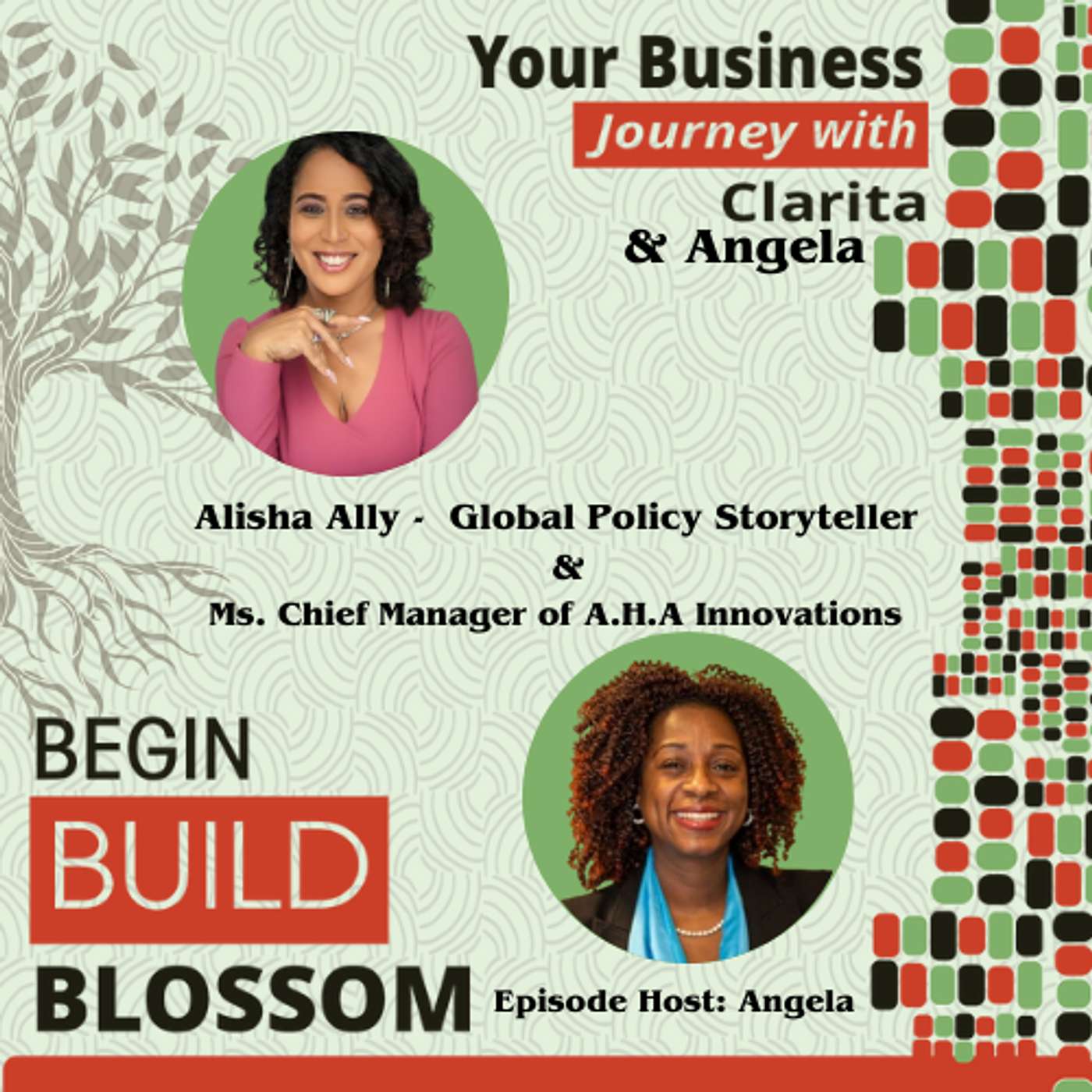 Global Policy Storyteller Alisha H. Ally (AHA), Turns Complex Agendas into Actionable Narratives episode artwork