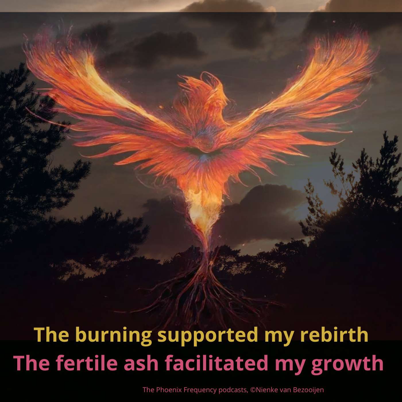 The Phoenix Frequencies