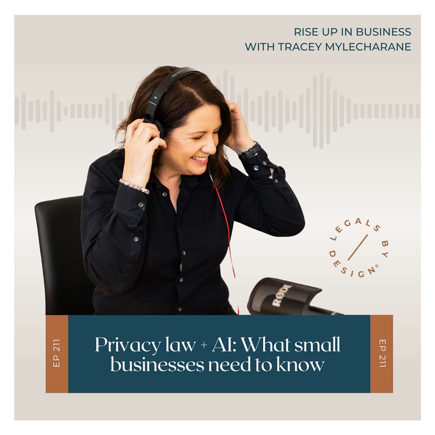 Privacy Law + AI: What Small Businesses Need to Know