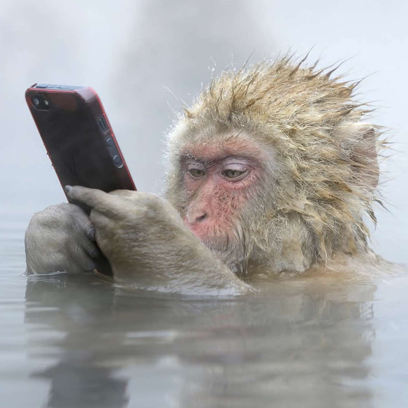 AI, AI, AI! Naturální primitiv ve světě moderní technologie a umělé inteligence