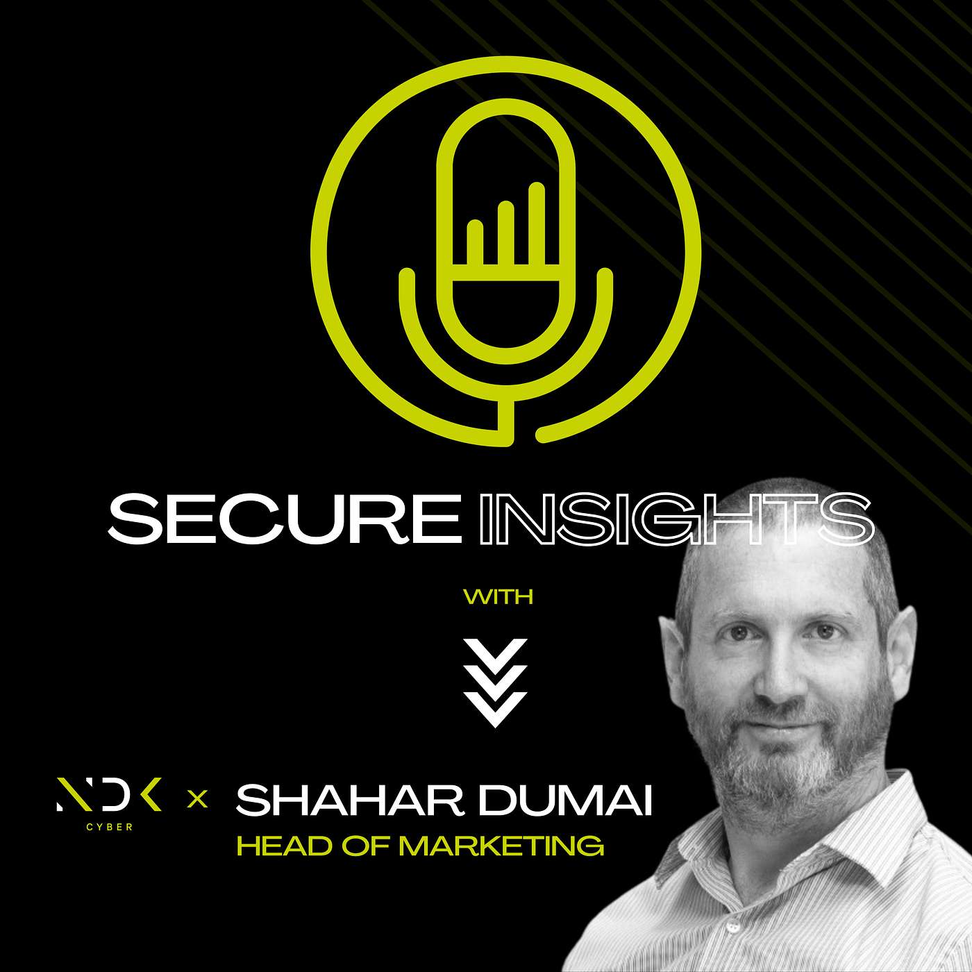 Secure Insights with NDK Cyber