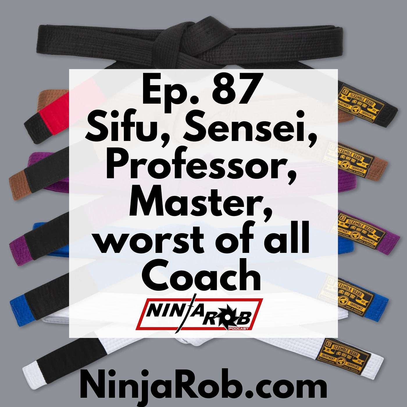 Ep. 87 Sifu, Sensei, Professor, Master, or worst of all Coach