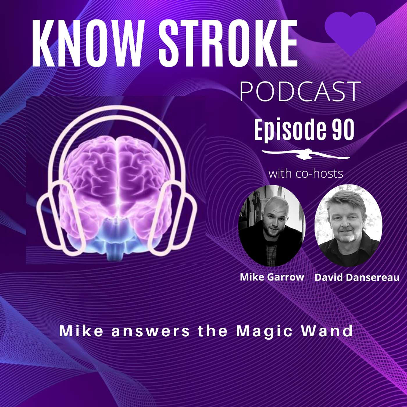 From Court to Community: Mike Garrow's Stroke Advocacy Journey and Magic Wand Answer