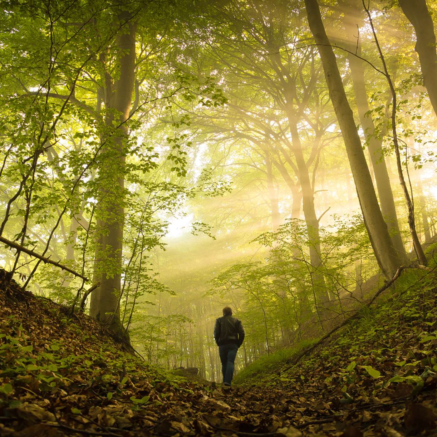 🌿 Walking Meditation: A Nine-Minute Reset for Body and Mind