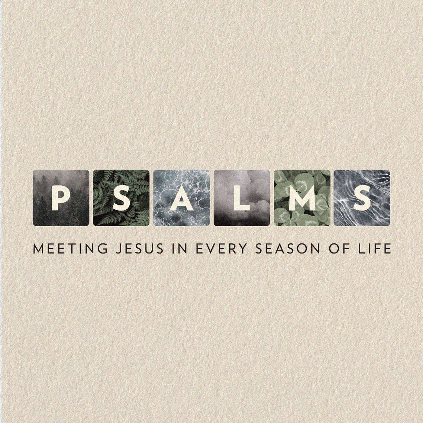 Psalms - Thanksgiving Psalm (Tim Busse)