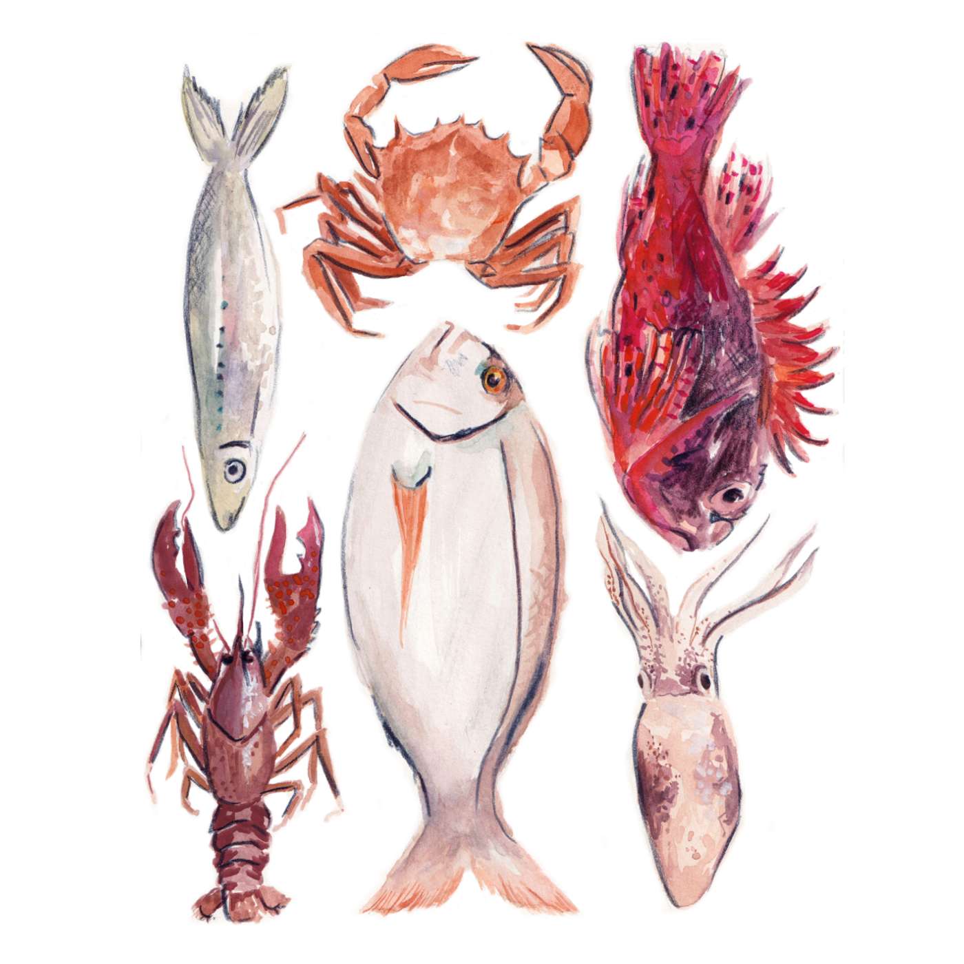 Oortuig - illustratie en grafische podcast