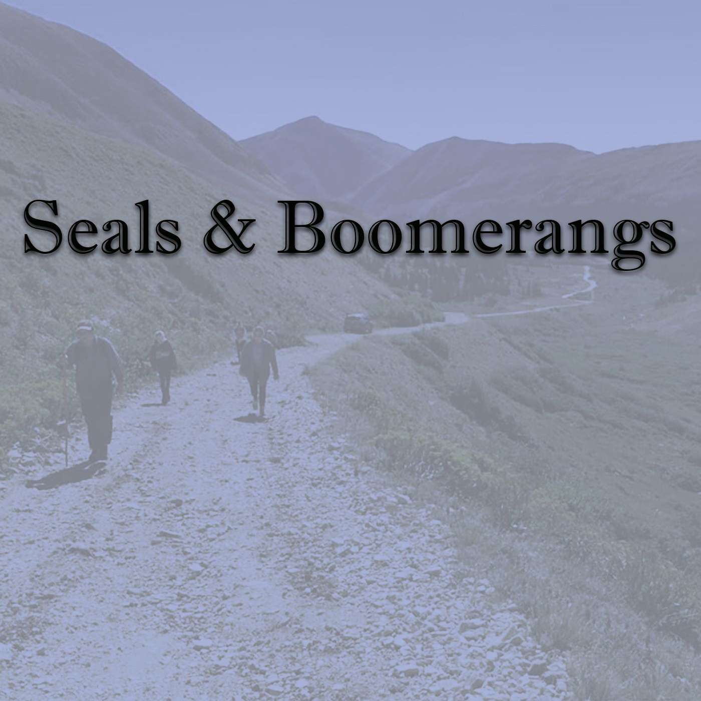 Seals & Boomerangs
