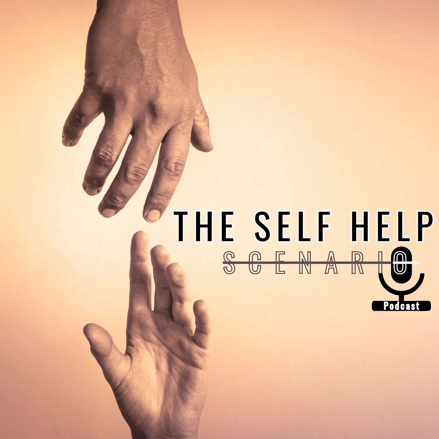 The Self Help Scenario