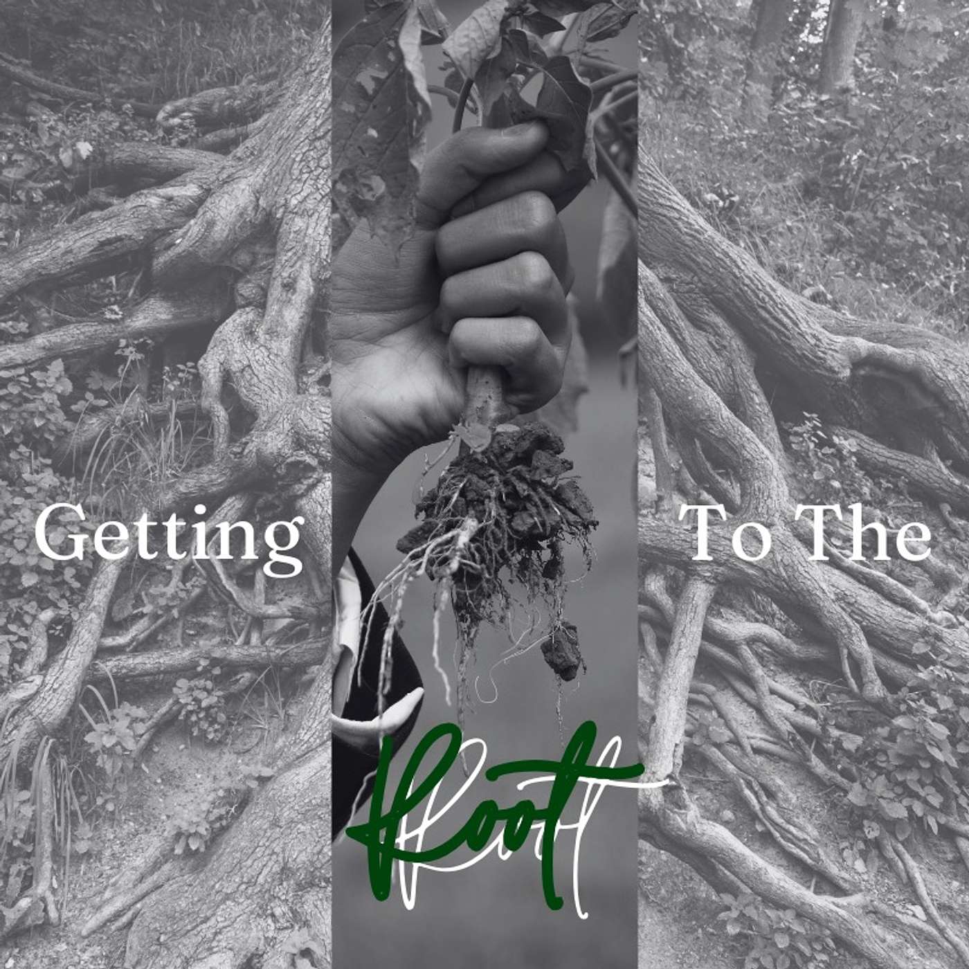 Getting to the Root