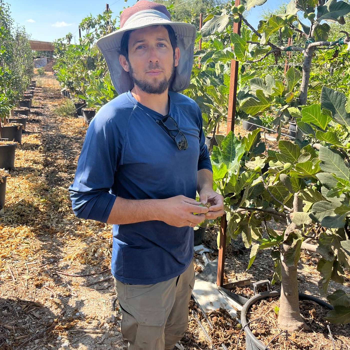 עידו בשן מגדל עצים דו מימדיים