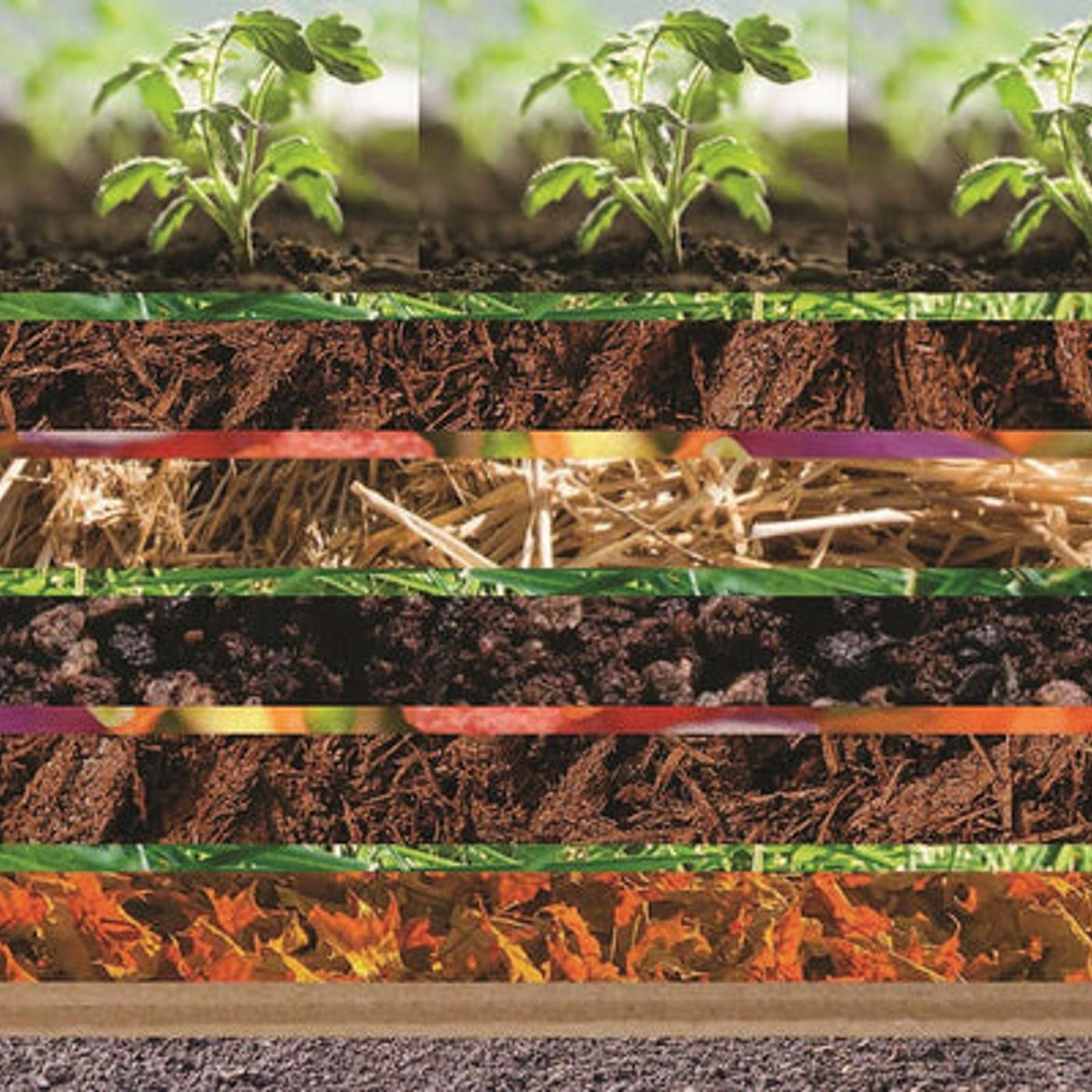 Anleolife Garden View: A Kind Guide to Lasagna Gardening in Raised Garden Beds